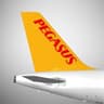 Pegasus Airlines | Company Profile - Revenue, Headcount, Tech Stack, Contacts